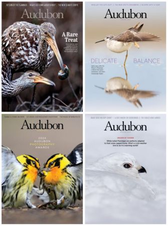 Audubon – Full Year 2024 Collection Issue