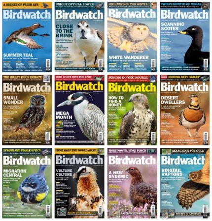 Birdwatch UK – Full Year 2024 Collection Issue