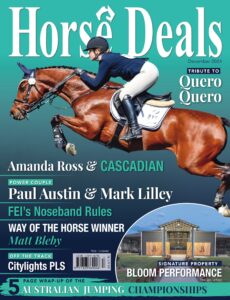 Horse Deals – December 2024