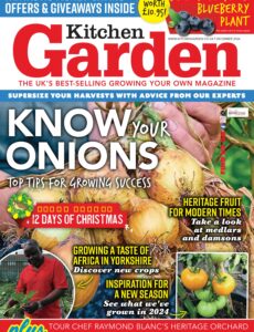 Kitchen Garden – December 2024