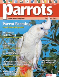 Parrots – December 2024