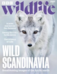 BBC Wildlife – January 2025