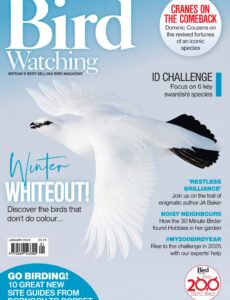 Bird Watching UK – January 2025