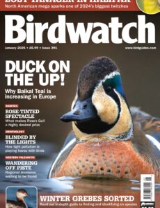 Birdwatch UK – January 2025