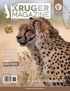 Kruger Magazine – Summer 2024-2025