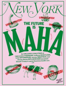 New York Magazine – 16 December 2024