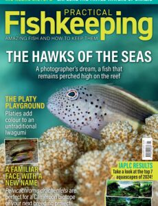 Practical Fishkeeping – January 2025