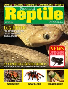 Practical Reptile Keeping – November 2024