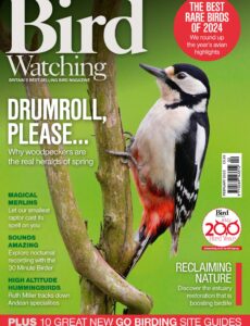 Bird Watching UK – February 2025