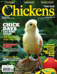 Chickens – March-April 2025