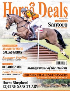 Horse Deals – January 2025