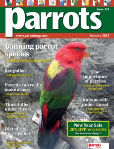 Parrots – January 2025