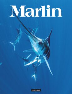 Marlin – March-April 2025