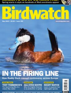 Birdwatch UK – May 2025
