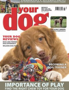 Your Dog – May 2025