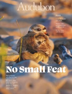 Audubon – Summer 2025