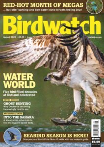 Birdwatch UK – August 2025