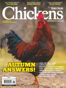Chickens – September-October 2025