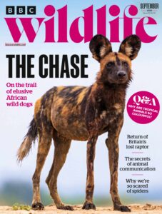 BBC Wildlife Magazine – September 2025
