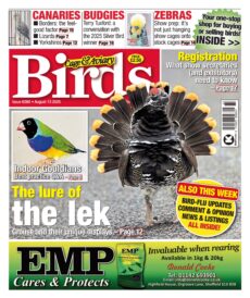 Cage & Aviary Birds – August 13, 2025