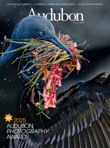 Audubon Magazine – Fall 2025
