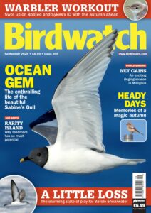 Birdwatch UK – September 2025