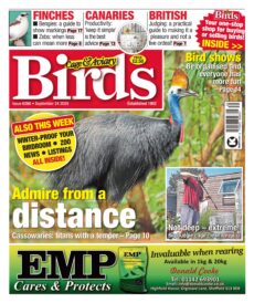 Cage & Aviary Birds – 24 September 2025