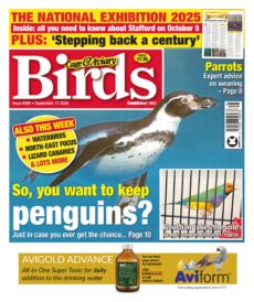 Cage & Aviary Birds – September 17, 2025