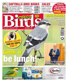 Cage & Aviary Birds – September 3, 2025