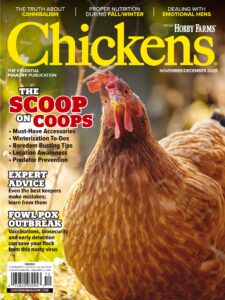 Chickens – November-December 2025