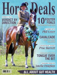 Horse Deals – October 2025
