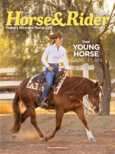 Horse & Rider – Fall 2025
