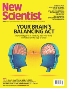 New Scientist Australian Edition – No  3559, 6 September 2025