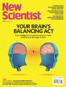 New Scientist International Edition – 6 September 2025