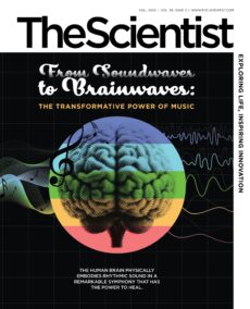 The Scientist – Fall 2025