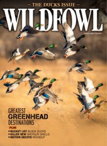 Wildfowl – October 2025
