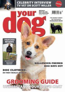 Your Dog – October 2025