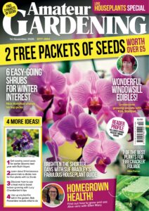 Amateur Gardening – 1 November 2025