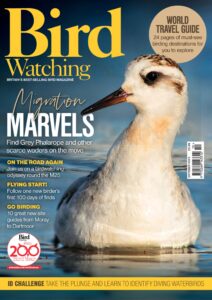 Bird Watching UK – October 2025