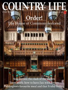 Country Life UK – October 29, 2025