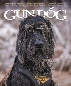 Gun Dog – November 2025