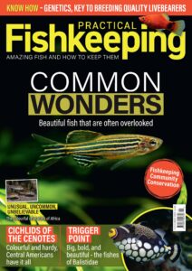 Practical Fishkeeping – November 2025