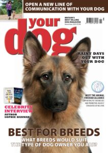 Your Dog – November 2025