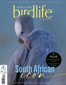 African Birdlife – November-December 2025