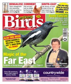 Cage & Aviary Birds – November 26, 2025