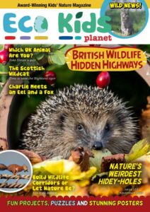 Eco Kids Planet Magazine – Issue 133, November 2025