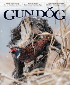 Gun Dog – Winter 2026