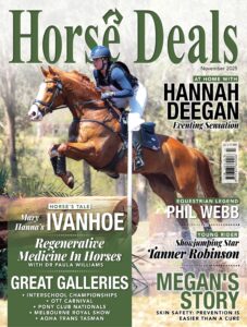 Horse Deals – November 2025