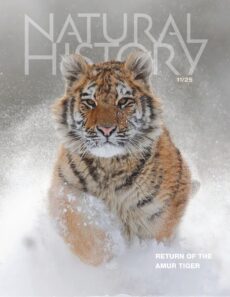 Natural History – November 2025