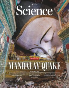 Science – Issue 6772, Volume 390, 30 October 2025